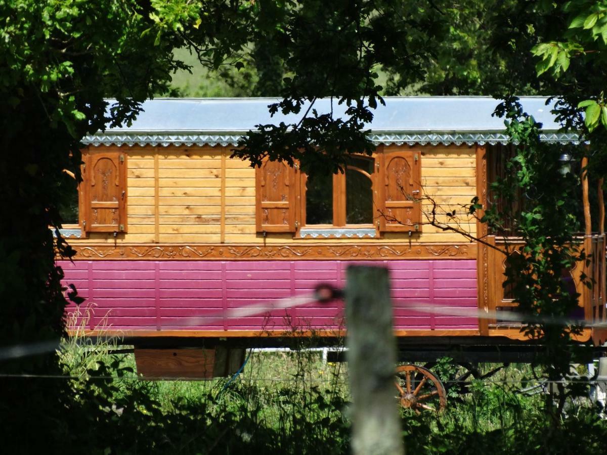 Une Roulotte Et Des Chevaux Treffléan Zewnętrze zdjęcie
