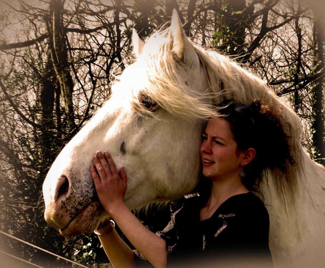 Une Roulotte Et Des Chevaux Treffléan Zewnętrze zdjęcie